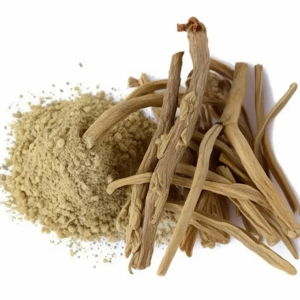 Extrait de racine de Tinospora Cordifolia